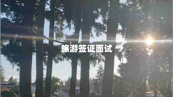 旅游簽證面試
