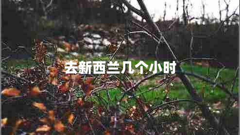 去新西蘭幾個(gè)小時(shí) 去新西蘭幾個(gè)小時(shí)