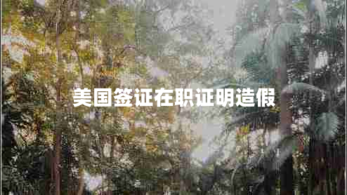 美國簽證在職證明造假