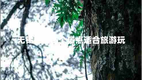 無(wú)錫冬季哪個(gè)景點(diǎn)適合旅游玩 無(wú)錫冬季哪個(gè)景點(diǎn)適合旅游玩