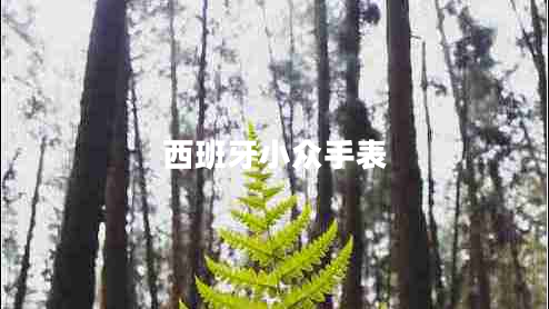 西班牙小眾手表