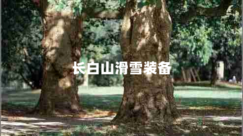 長白山滑雪裝備 長白山滑雪裝備