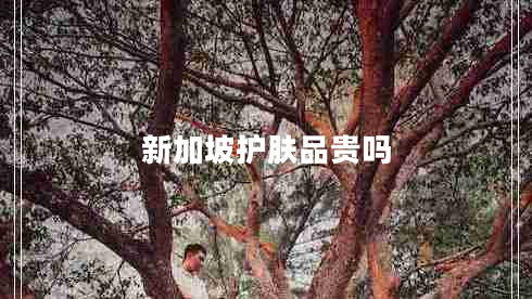 新加坡護(hù)膚品貴嗎