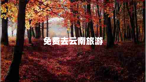 免費去云南旅游