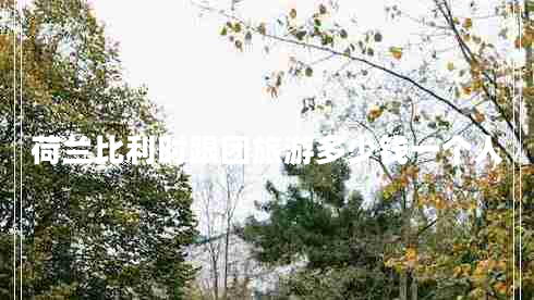 荷蘭比利時(shí)跟團(tuán)旅游多少錢一個人