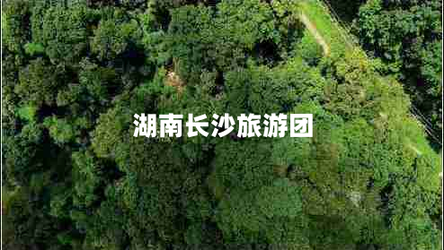 湖南長沙旅游團