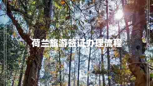 荷蘭旅游簽證辦理流程