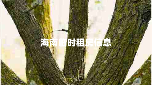 海南臨時(shí)租房信息 海南臨時(shí)租房信息