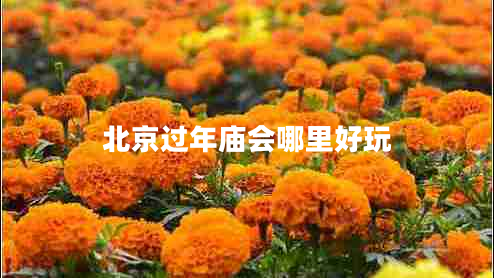 北京過年廟會哪里好玩