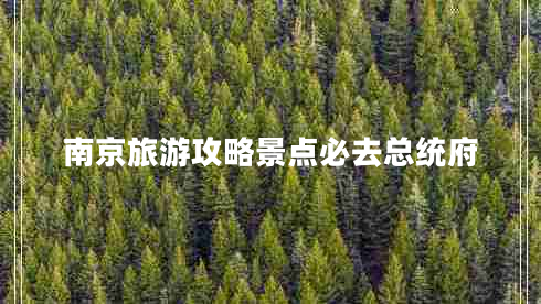 南京旅游攻略景點(diǎn)必去總統(tǒng)府