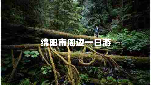 綿陽市周邊一日游 綿陽市周邊一日游