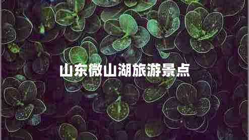 山東微山湖旅游景點 山東微山湖旅游景點