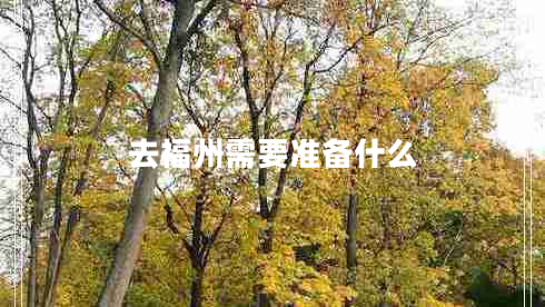 去福州需要準(zhǔn)備什么