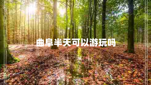 曲阜半天可以游玩嗎 曲阜半天可以游玩嗎