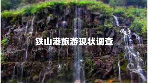 鐵山港旅游現(xiàn)狀調(diào)查