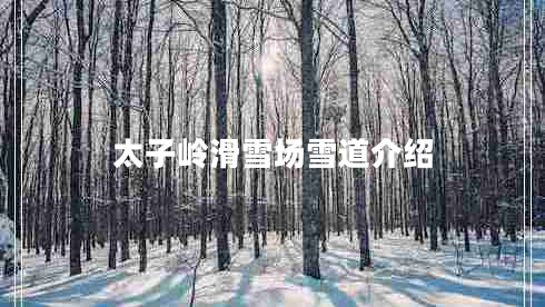 太子嶺滑雪場雪道介紹