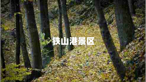 鐵山港景區(qū)