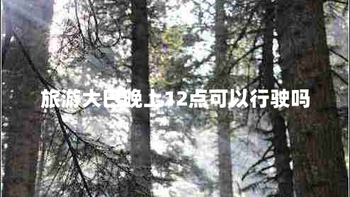 旅游大巴晚上12點可以行駛嗎
