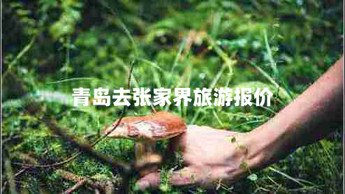 青島去張家界旅游報(bào)價(jià)