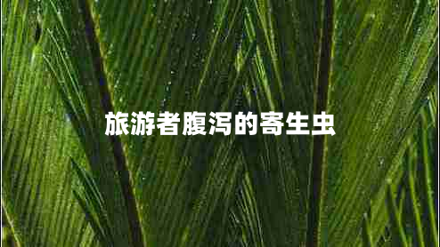 旅游者腹瀉的寄生蟲(chóng) 旅游者腹瀉的寄生蟲(chóng)