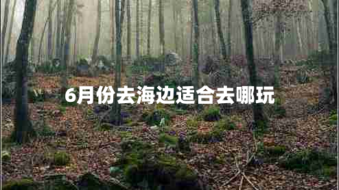 6月份去海邊適合去哪玩