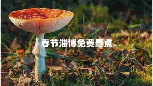 春節(jié)淄博免費景點