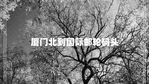 廈門北到國際郵輪碼頭