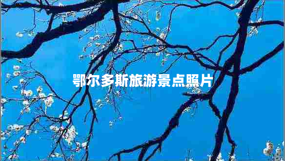 鄂爾多斯旅游景點照片