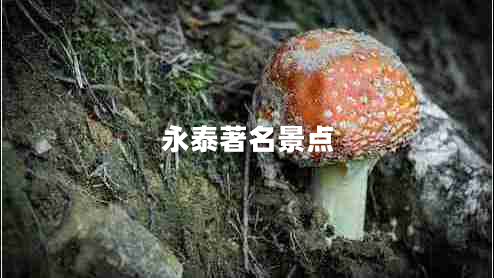 永泰著名景點(diǎn)