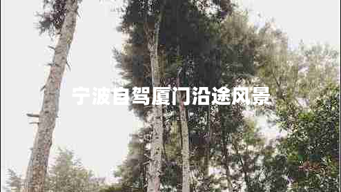 寧波自駕廈門沿途風(fēng)景