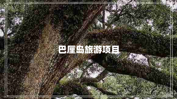 巴厘島旅游項目