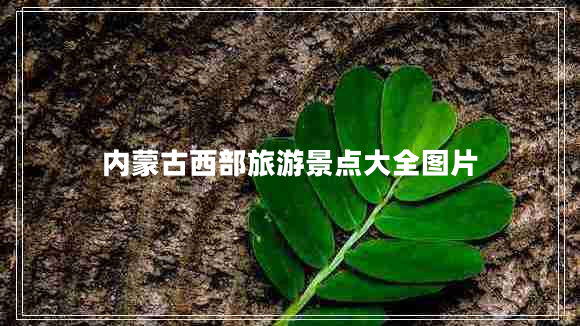 內(nèi)蒙古西部旅游景點(diǎn)大全圖片