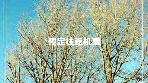 預(yù)定往返機(jī)票