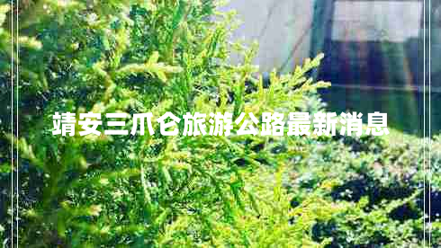 靖安三爪侖旅游公路最新消息