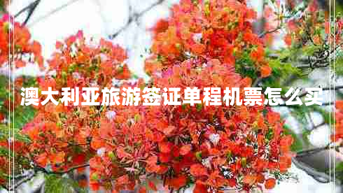 澳大利亞旅游簽證單程機(jī)票怎么買