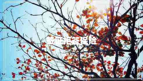 簽證拒簽保險(xiǎn)