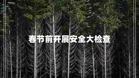 春節(jié)前開展安全大檢查