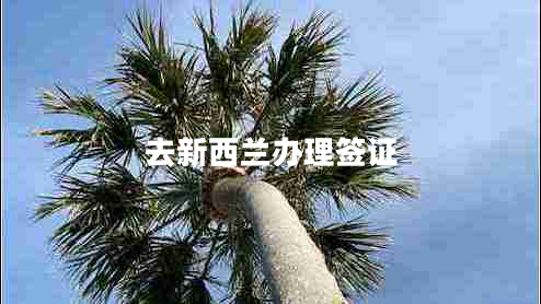 去新西蘭辦理簽證 去新西蘭辦理簽證