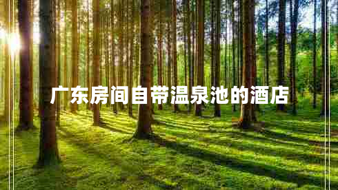 廣東房間自帶溫泉池的酒店
