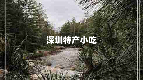 深圳特產(chǎn)小吃 深圳特產(chǎn)小吃