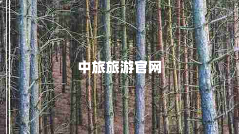 中旅旅游官網(wǎng)