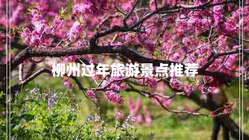 柳州過年旅游景點(diǎn)推薦