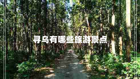 尋烏有哪些旅游景點(diǎn) 尋烏有哪些旅游景點(diǎn)