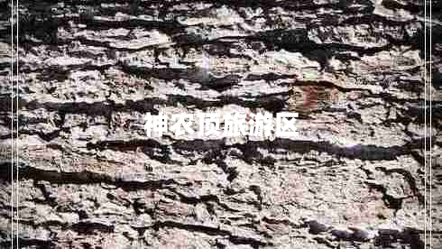 神農頂旅游區(qū) 神農頂旅游區(qū)