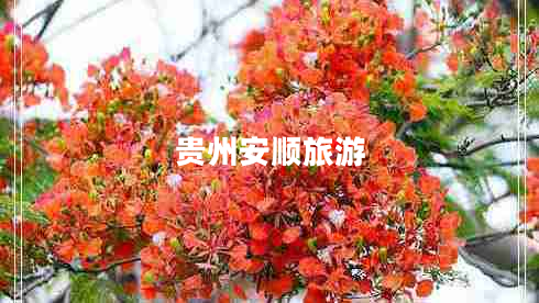 貴州安順旅游