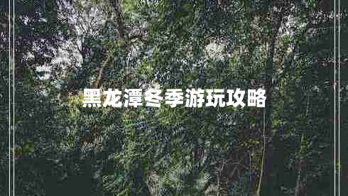 黑龍?zhí)抖居瓮婀ヂ? title=