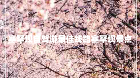 塞罕壩自駕游最佳線路塞罕壩景點 塞罕壩自駕游最佳線路塞罕壩景點