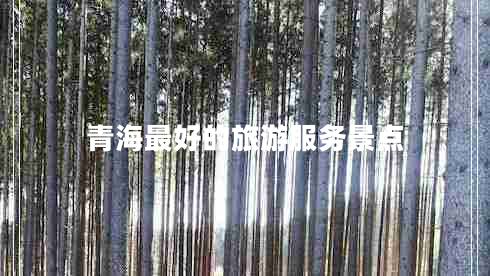 青海最好的旅游服務景點
