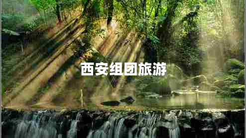 西安組團(tuán)旅游