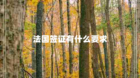 法國(guó)簽證有什么要求